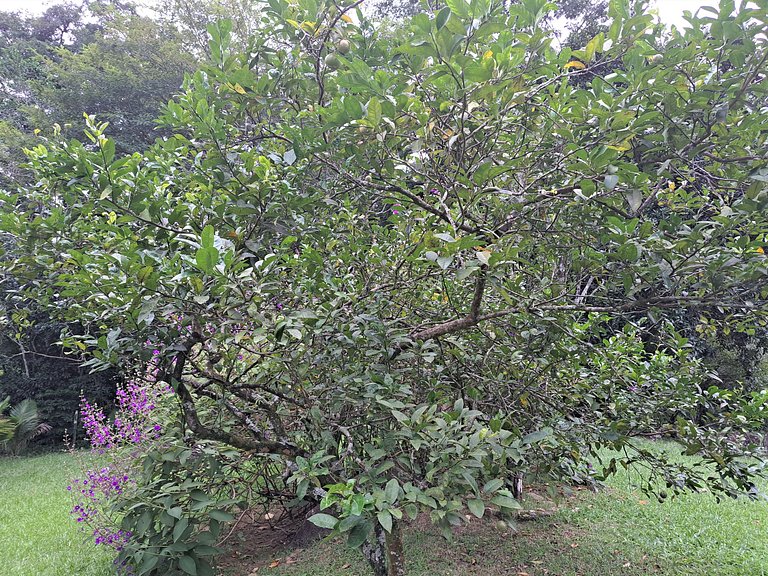 Paradisíaco, piscina e churrasqueira em Guapimirim