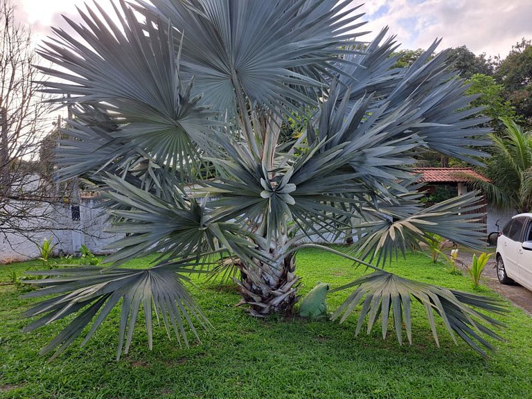 Sítio c/ piscina e 3 suítes em Cachoeira de Macacu