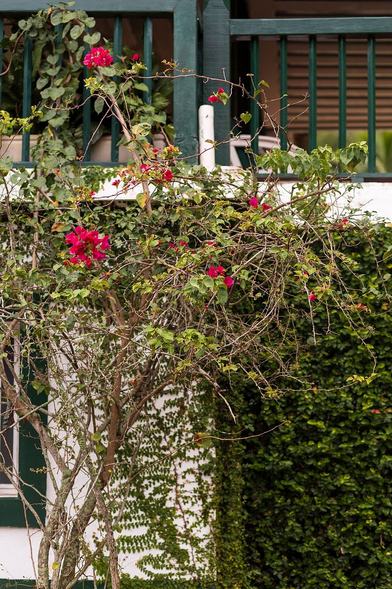 Fazenda Jurea Charme Colonial 10 suítes Ipiabas Rj