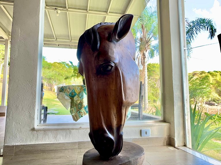 Sitio com Piscina no Vale Dos Sonhos - Lagoa Santa